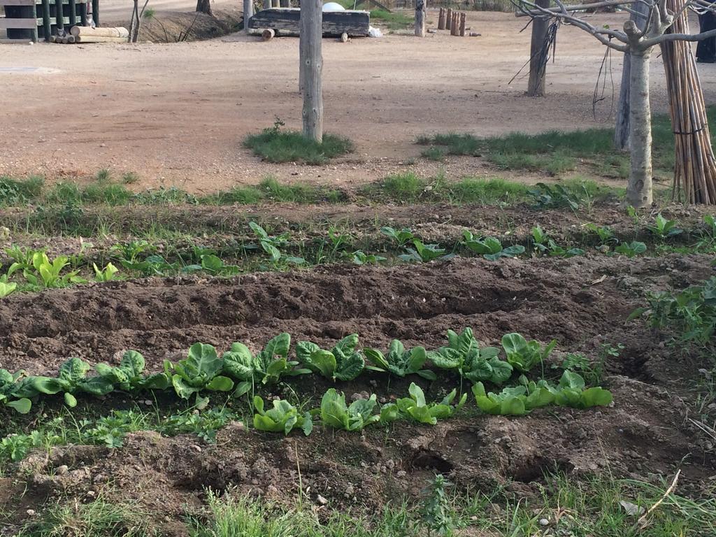 La Barraca D'En Salvador Villa Deltebre Ngoại thất bức ảnh